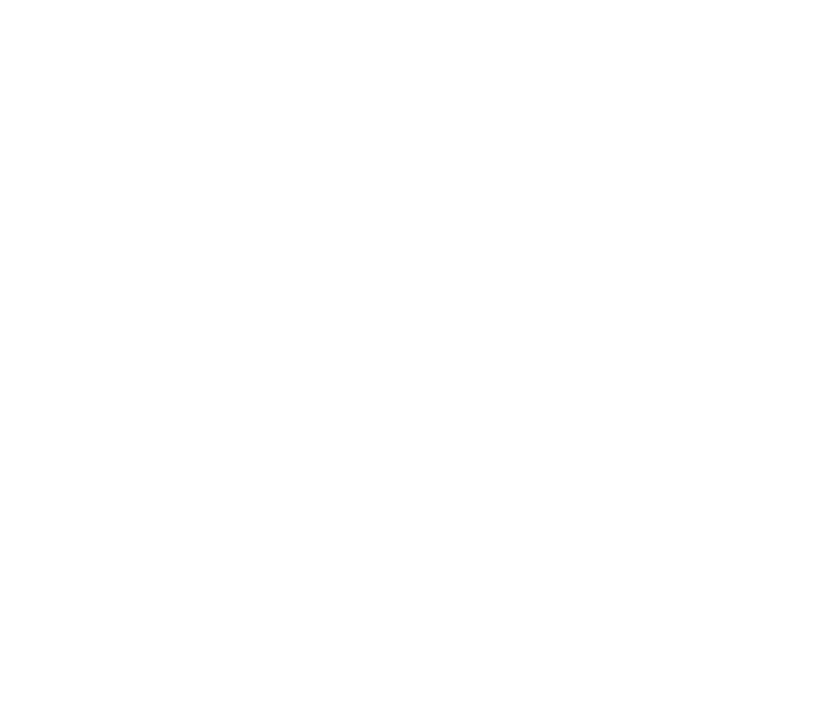 Адыгейский государственный университет