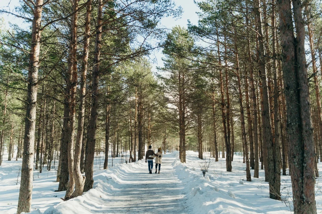 Снежная программа