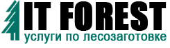 АйТи Форест
