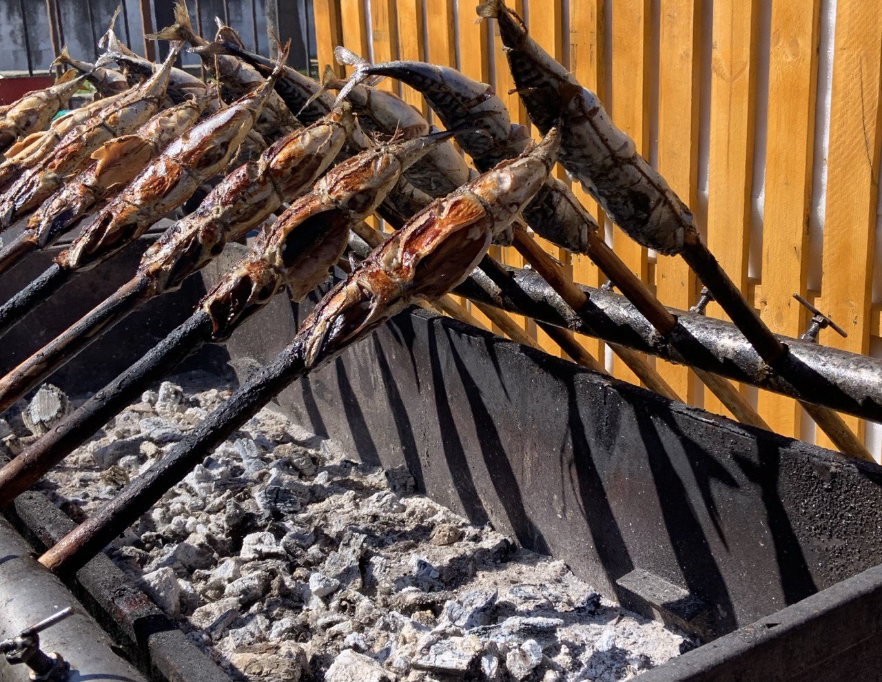 Гастрономический фестиваль Фиштиваль в Зеленоградске