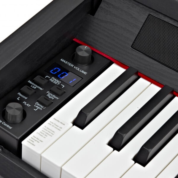 蒼ページ　Roland fp10 x_1_normal_c20bce287c01c14f62d