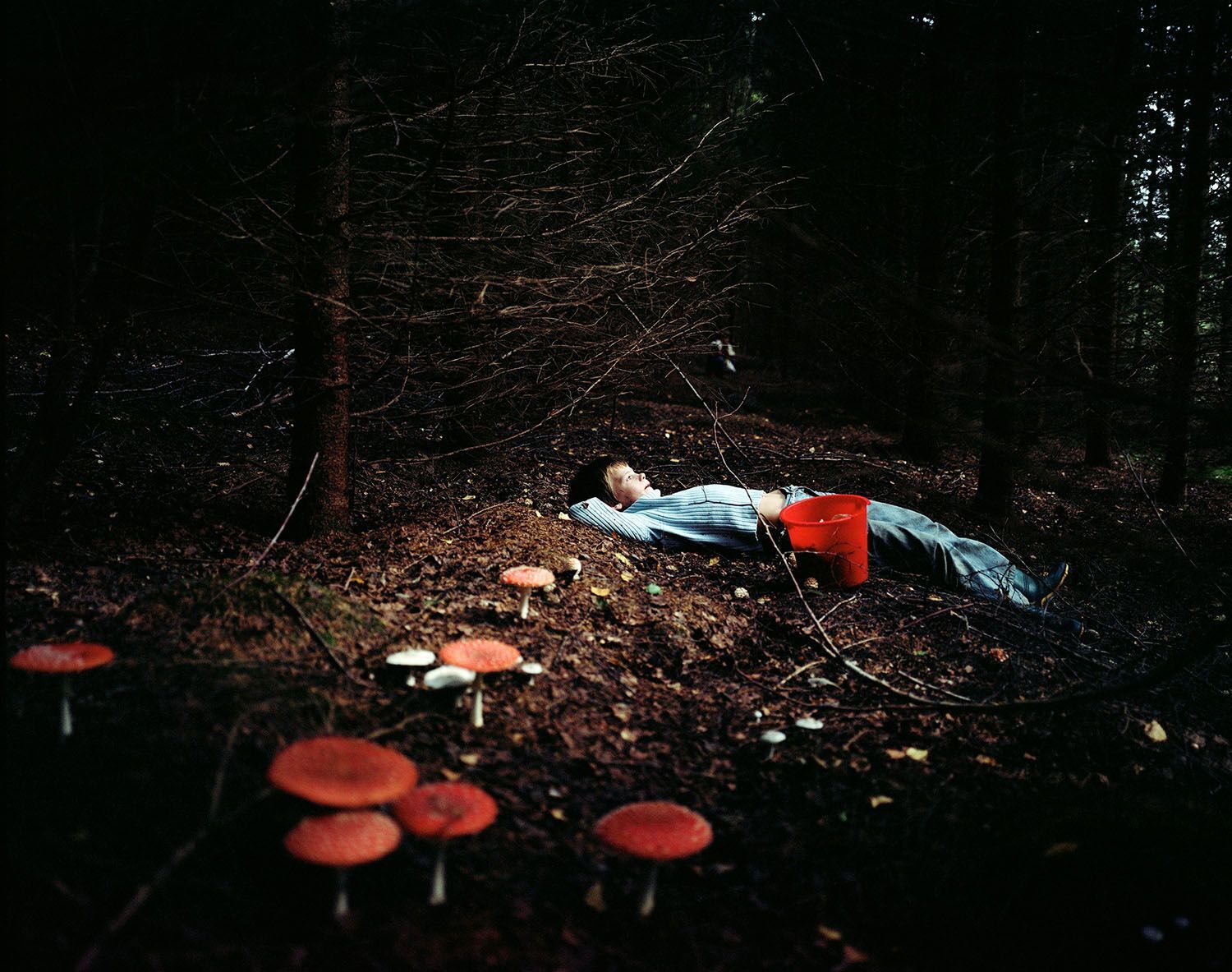 Iveta Vaivode: Somewhere on a Disappearing Path