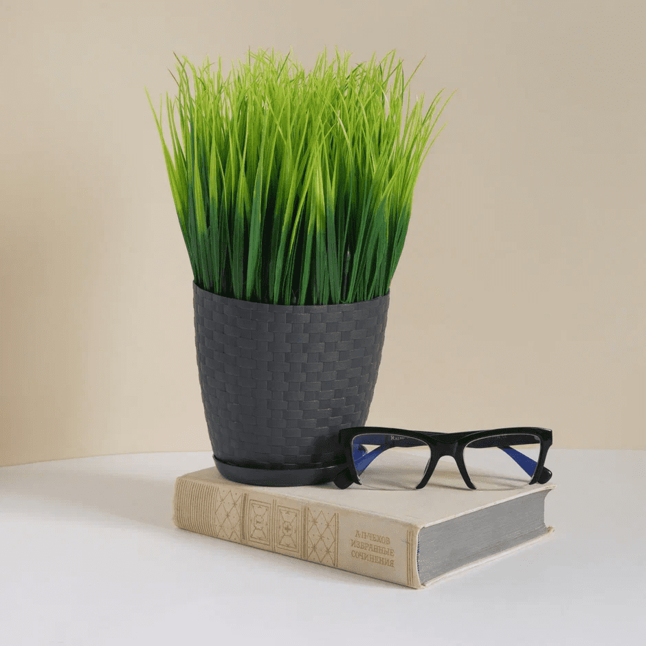 Фото для Ozon. Цветочные горшочки.