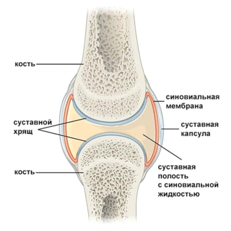 o-vsemirnom-dne-borby-s-artritom-1.jpg