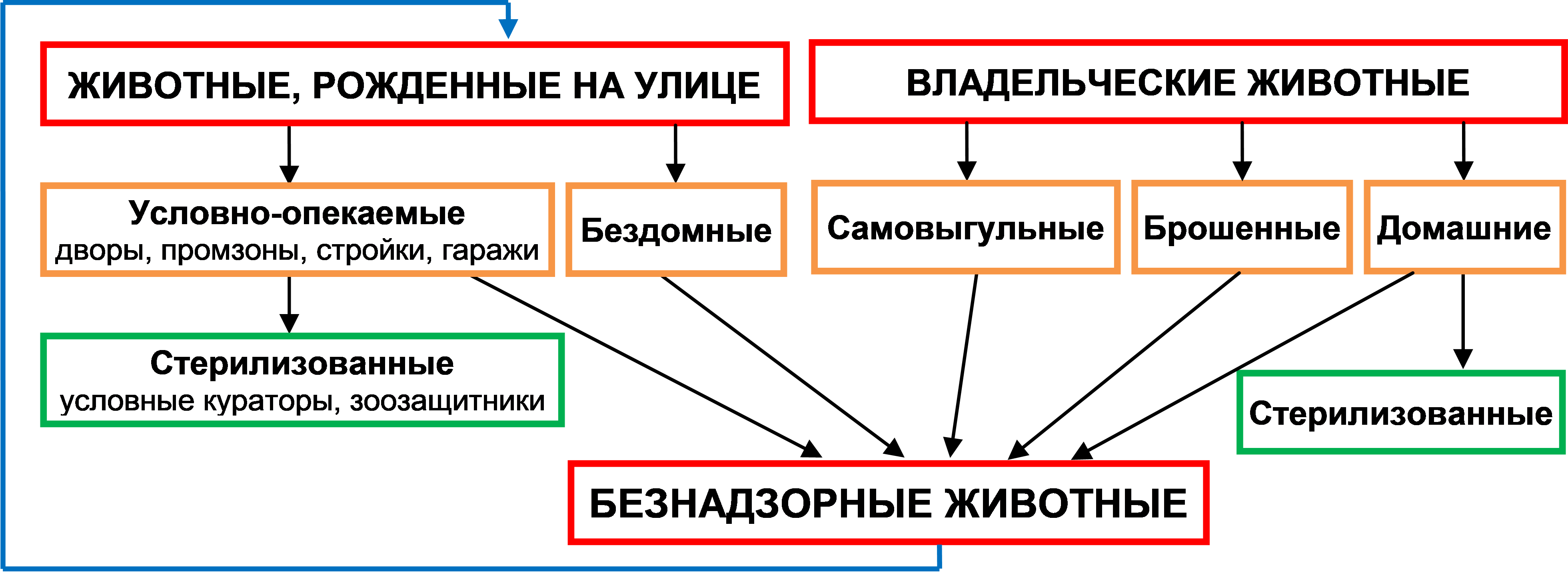 498-ФЗ ОСВВ