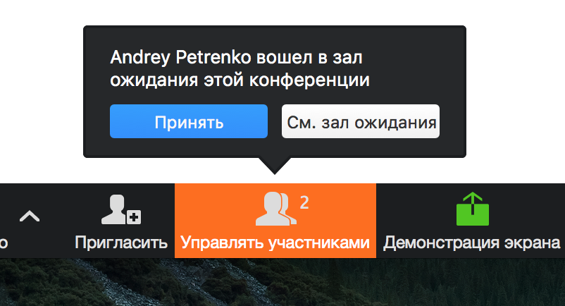 Зал ожидания где находится. Зал ожидания в зуме. Zoom зал ожидания. Zoom комната ожидания. Зал ожидания в зуме как выглядит.