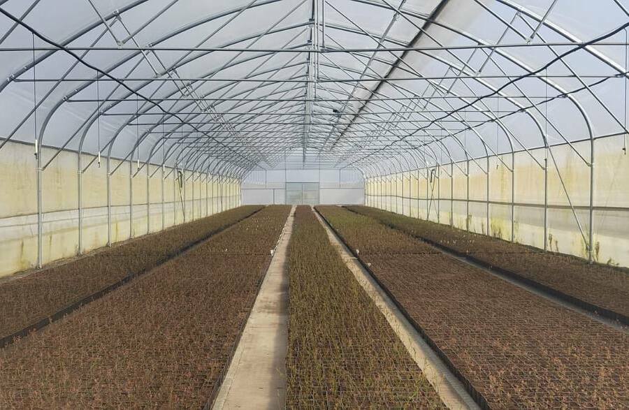 тепличные технологии