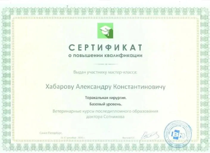 Сертификат 11 Хабарова А.К.