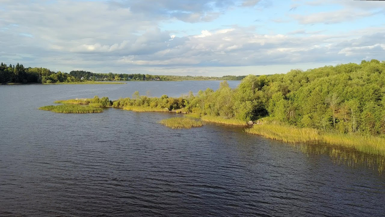 Орлинское озеро ленинградская область фотографии