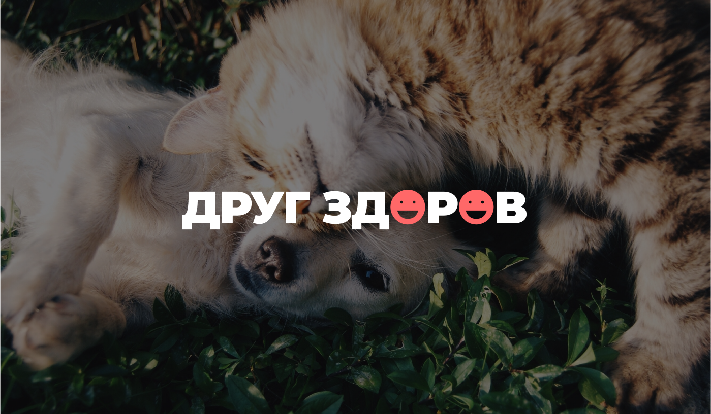 Друг здоров — ветеринарные услуги на дому в Москве
