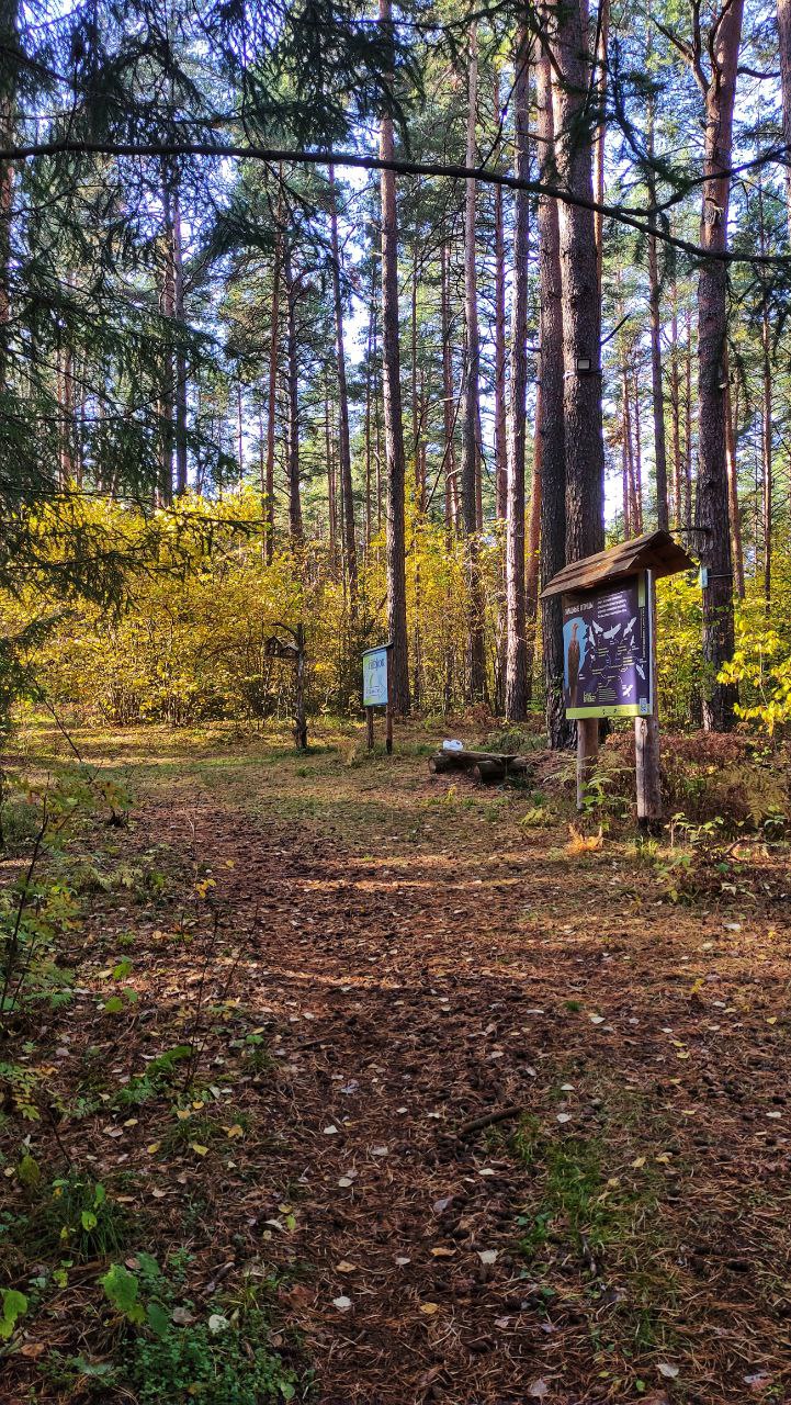 ПВД в Боровецкий лес. 1 день