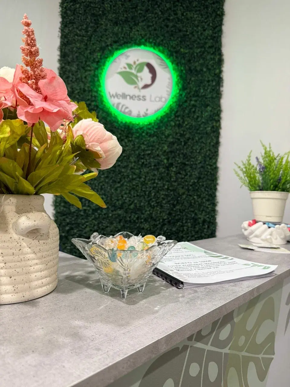 Ресепшен Wellness Lab