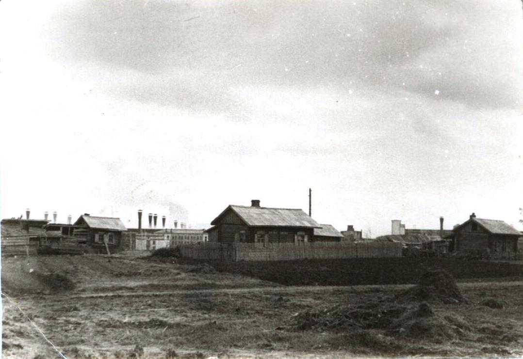 Вид на оставшиеся дома деревни Красная Горка. Май 1947 г.