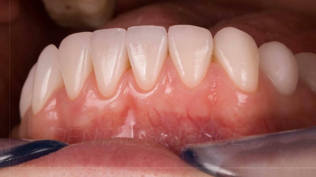 Фото с конференции 