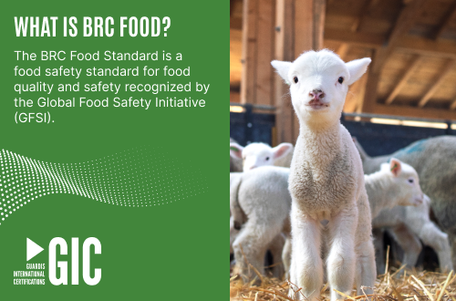 What is BRC Food?