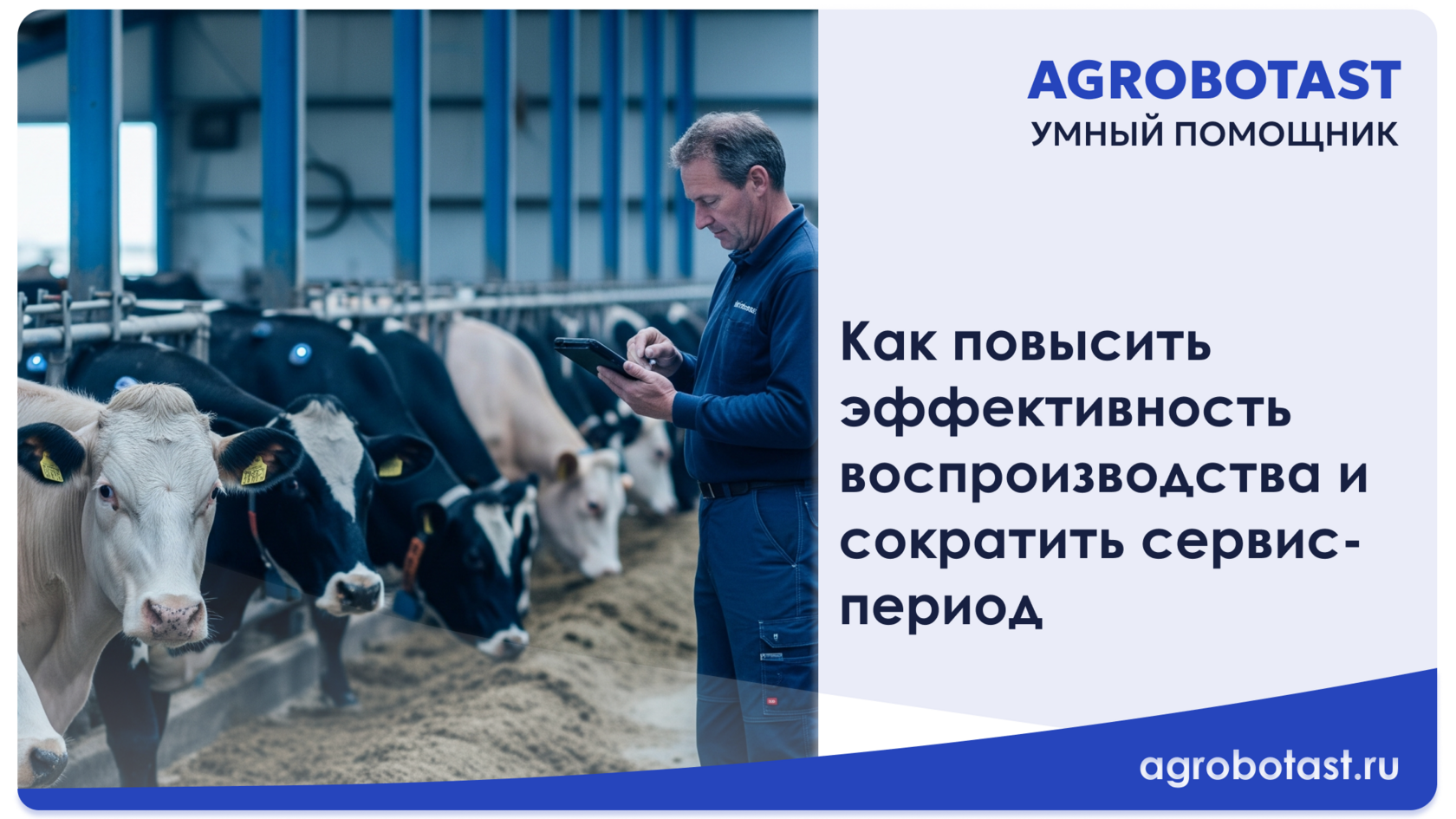 Как повысить эффективность воспроизводства и сократить сервис-период