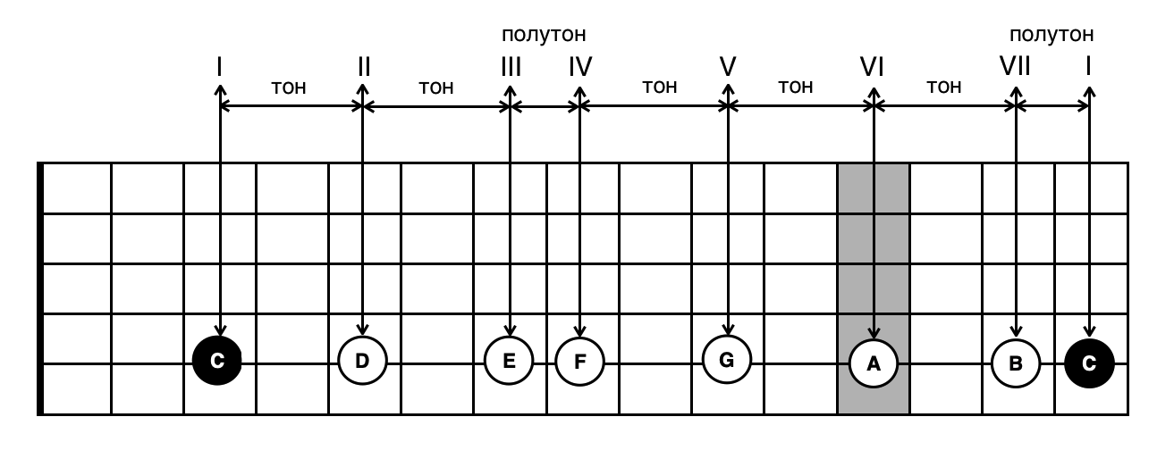 Между нот