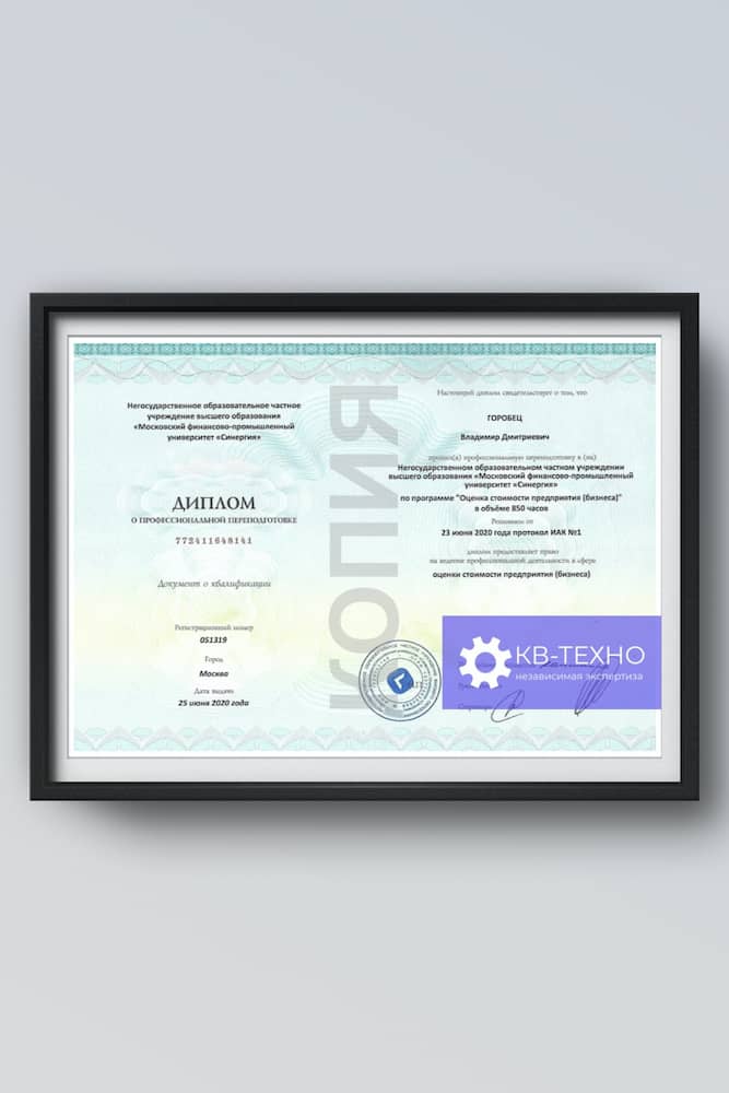 Диплом Оценка стоимости предприятия (бизнеса)