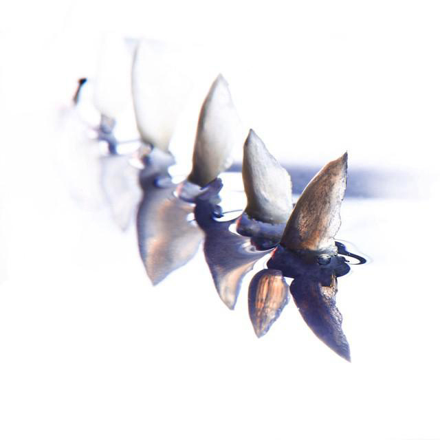 Зуботехническая лаборатория москва