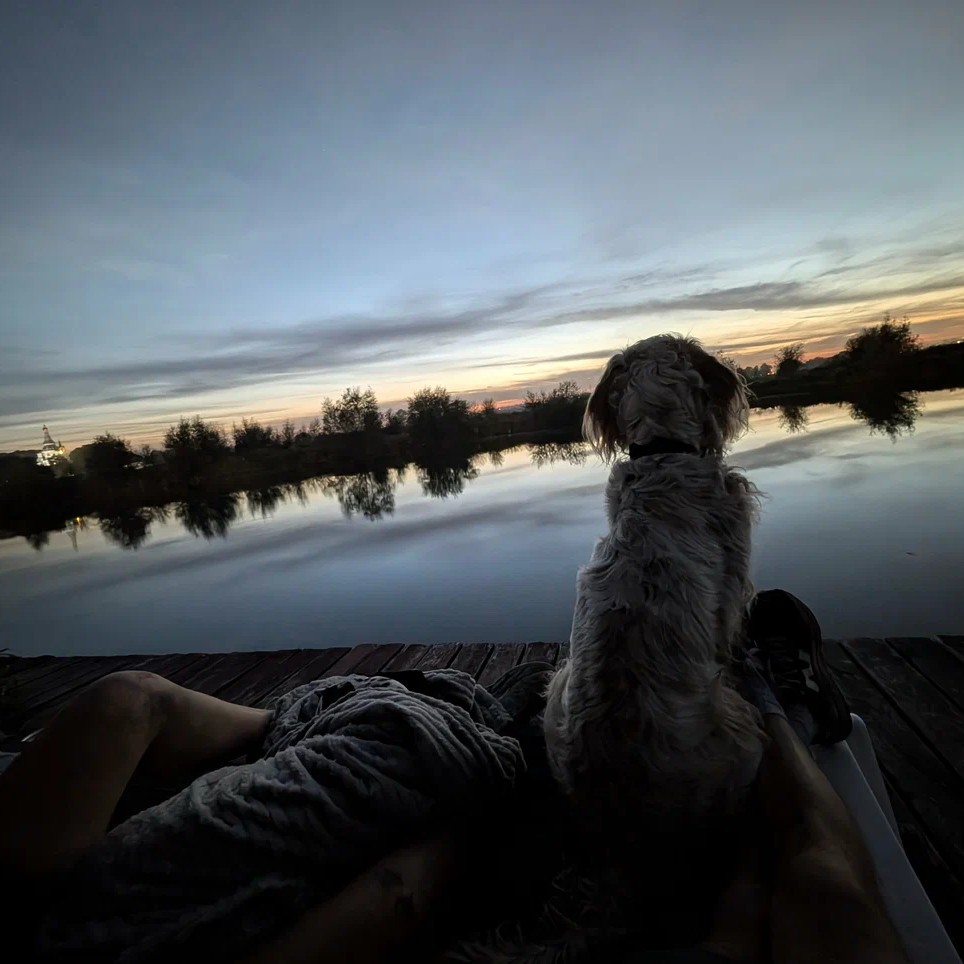 A dog on a lounger watching the sunset over the water at Ostrov Glamping