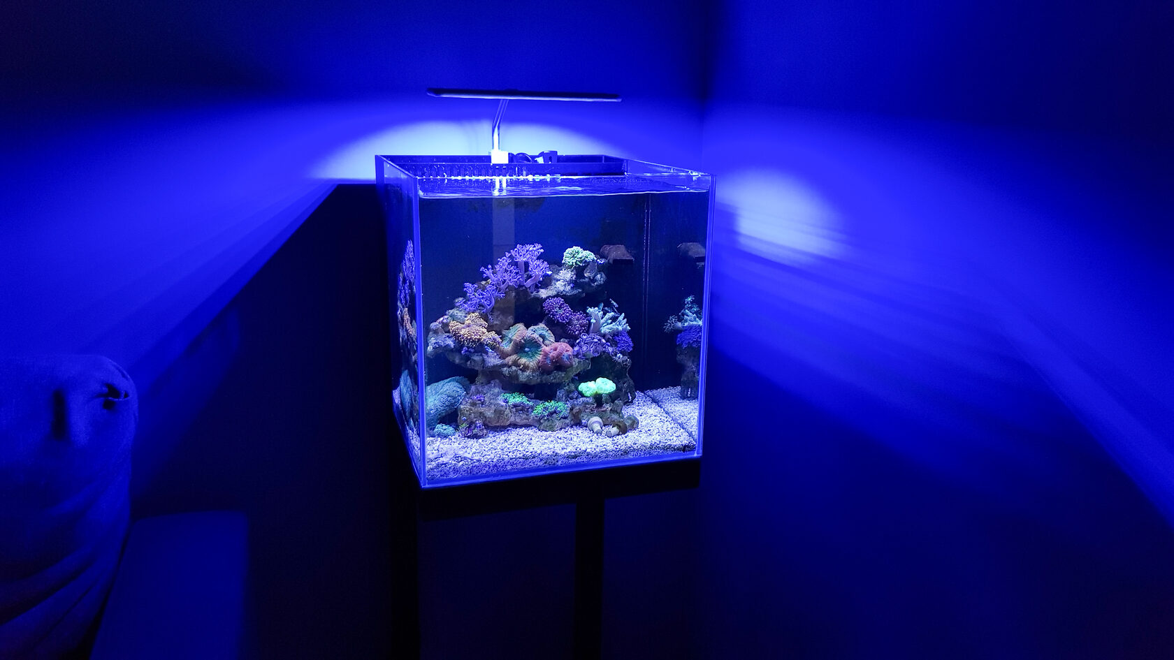 Морской светильник MicMol Aqua CC II
