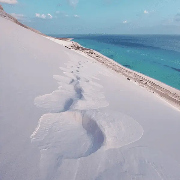 Путешествие в ЮАР - Мыс Доброй Надежды