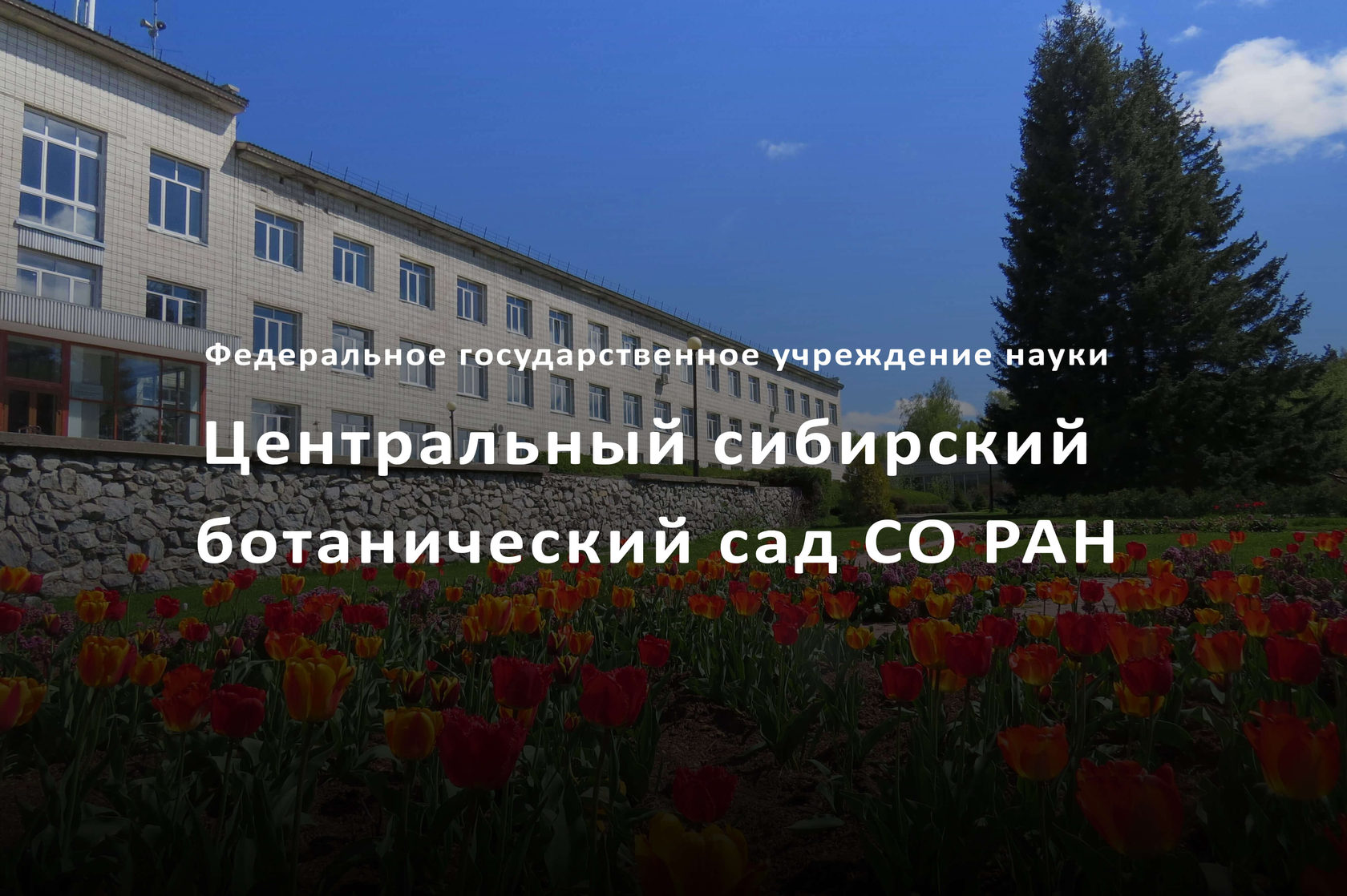Центральный сибирский ботанический сад