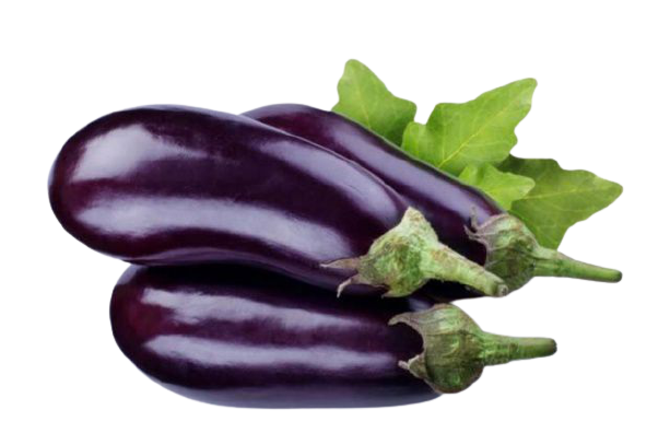 Купить баклажаны оптом в Москве