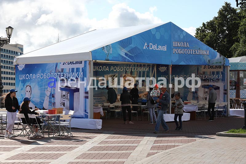 Фестиваль 