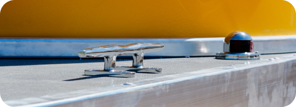 Катамаран Медуза