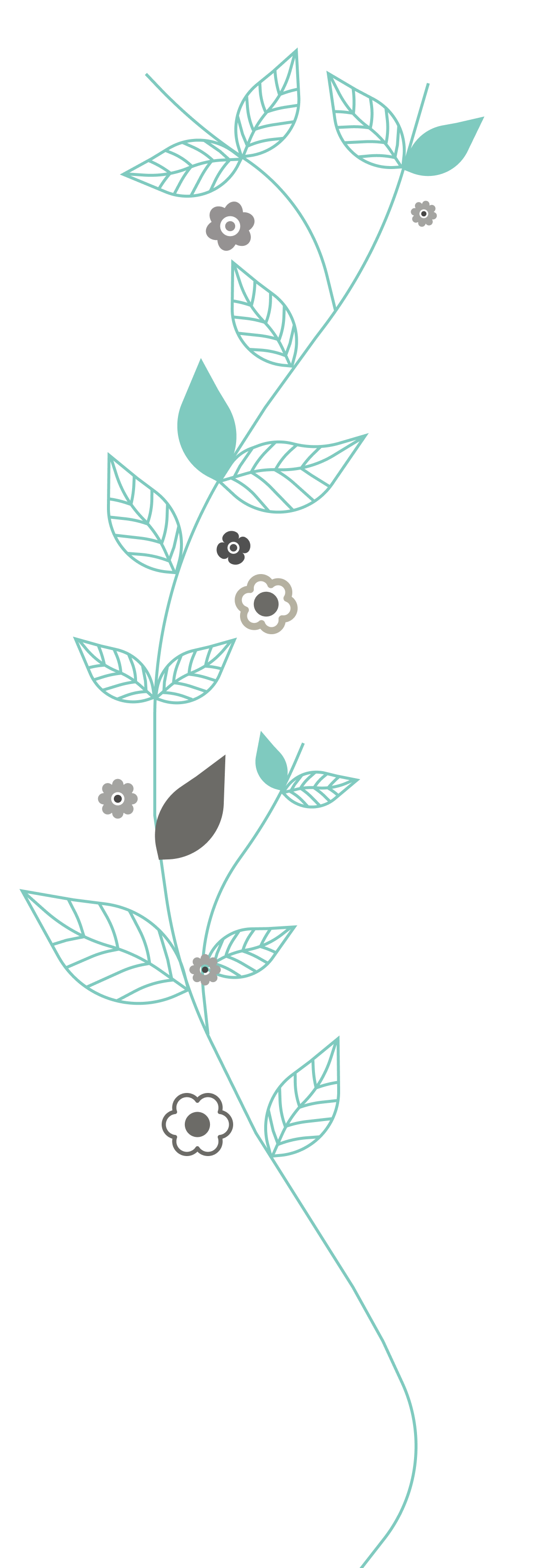 Electrolysis Hair Removal Dubai