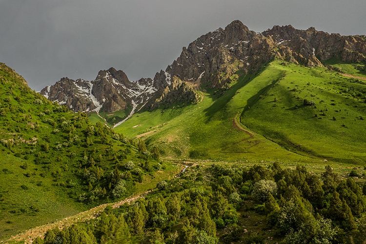 Чичкан киргизия фото