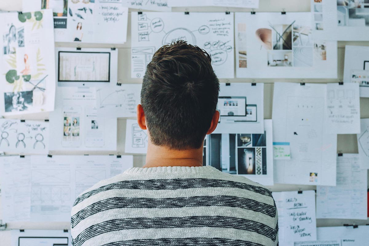 Person in striped sweater analyzing design concepts and notes on a wall, reflecting on gardening strategies and biointensive techniques for efficient backyard gardening.