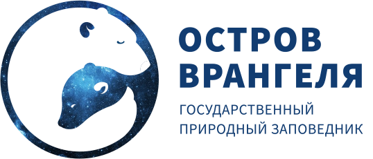 Заповедник остров врангеля эмблема. Остров врангеля заповедник герб. Герб острова врангеля. Большой арктический заповедник герб. Нарисовать эмблему заповедника остров врангеля.