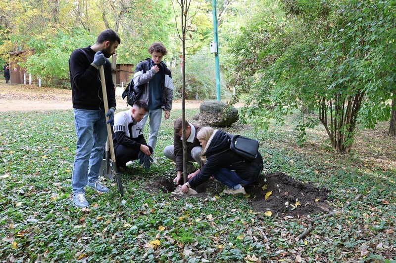 Осенний день древонасаждения