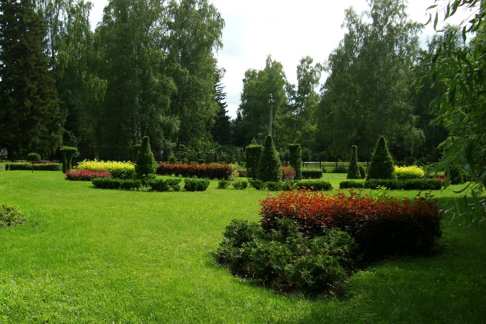 Центральный сибирский ботанический сад фото