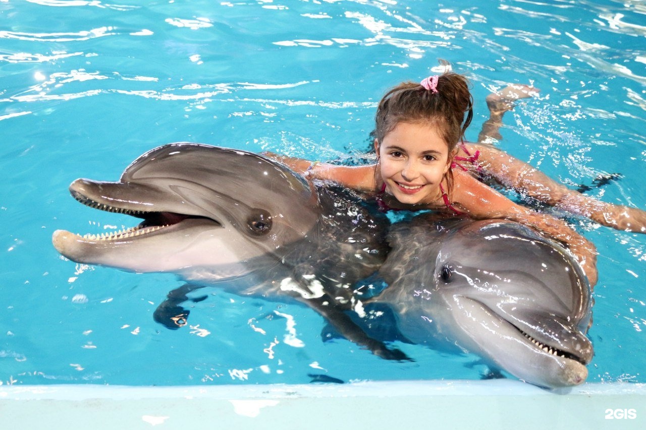 Дельфинарий Адлер плавание с дельфинами