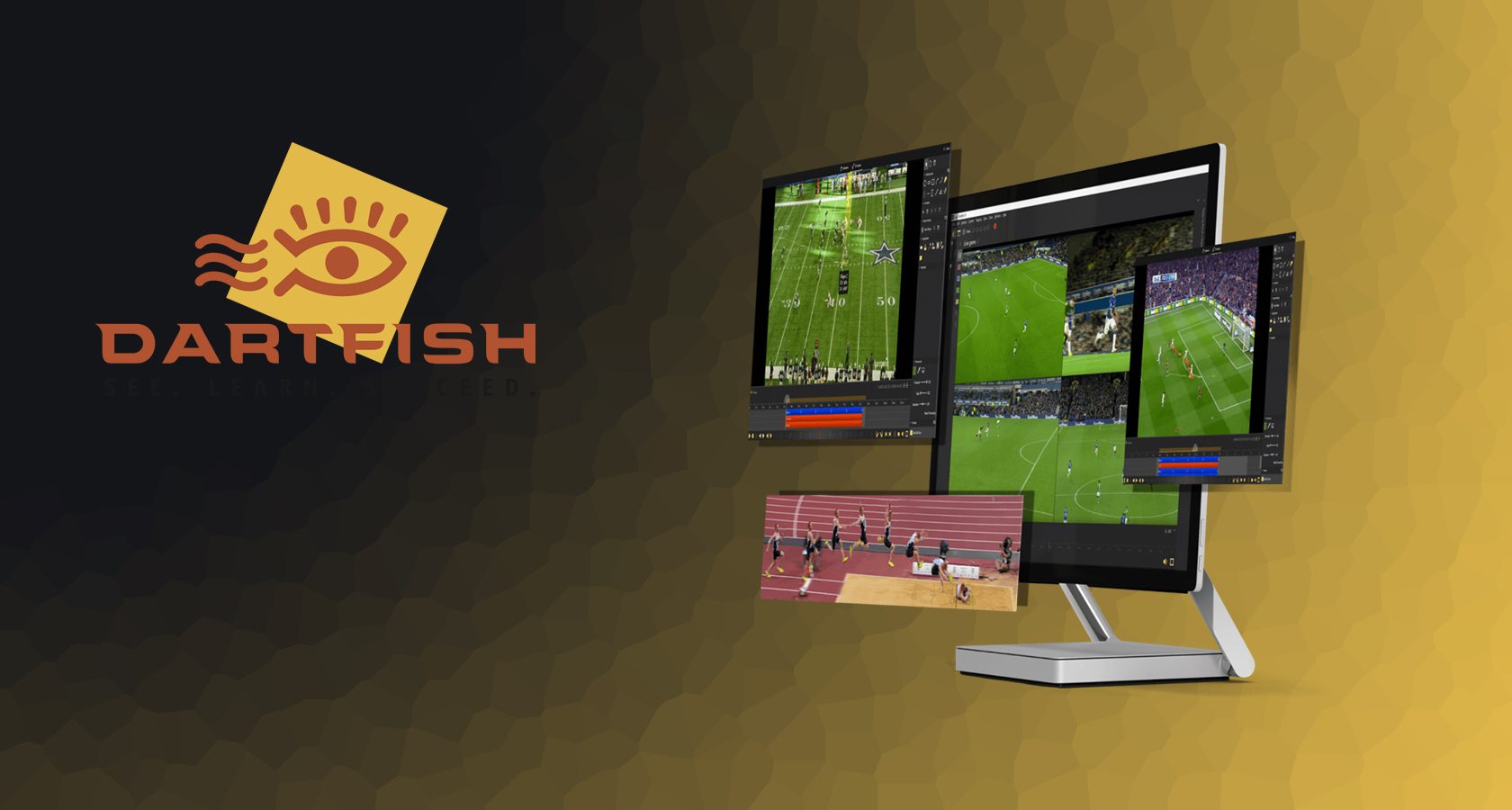 Dartfish Система для видео анализа