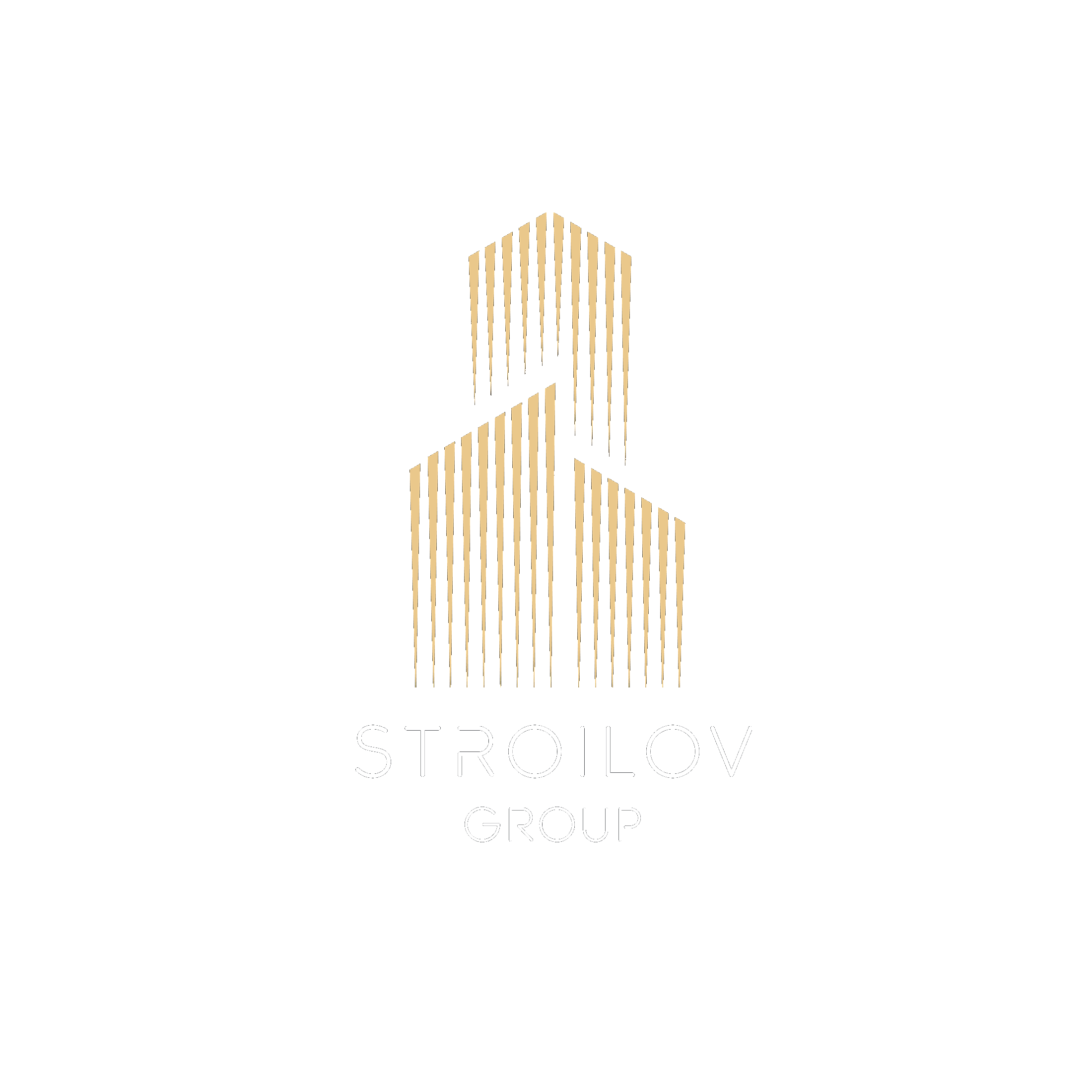 STROILOV GROUP