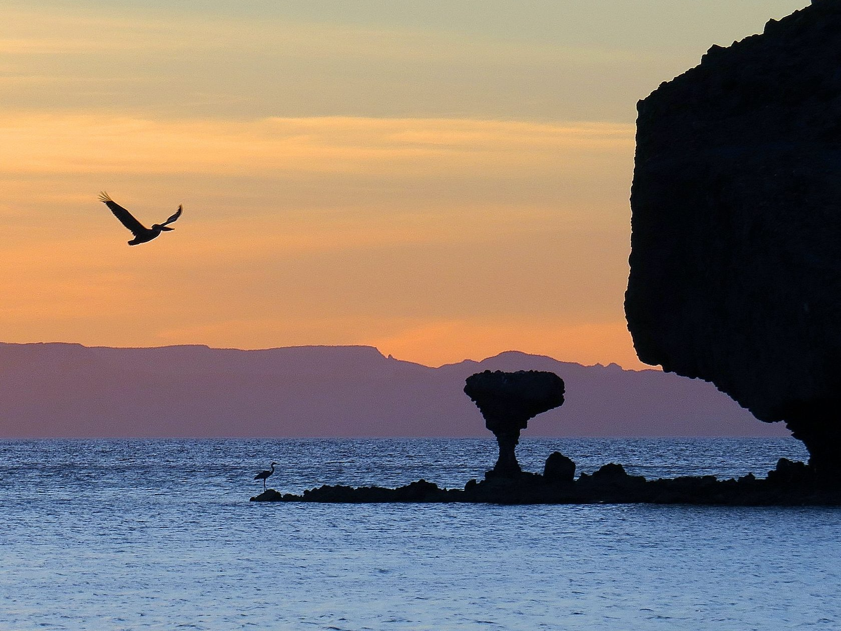 yacht charter аренда яхт Америка