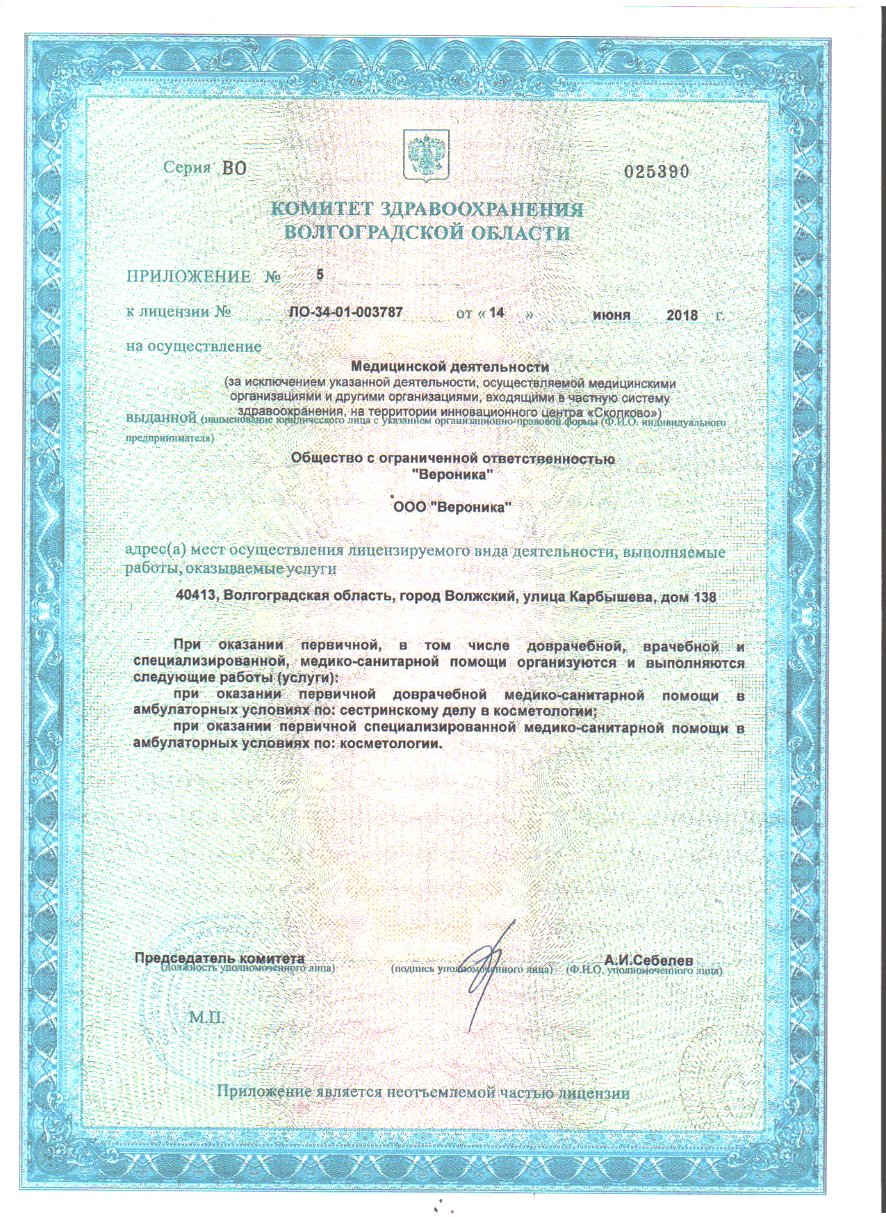 Приложение к лицензии на осуществление медицинской деятельности, Волжский