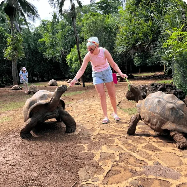 Тур на Маврикий - Гигантские сухопутные черепахи