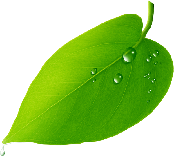 национальные продукты kula соусы кетчуп аджика