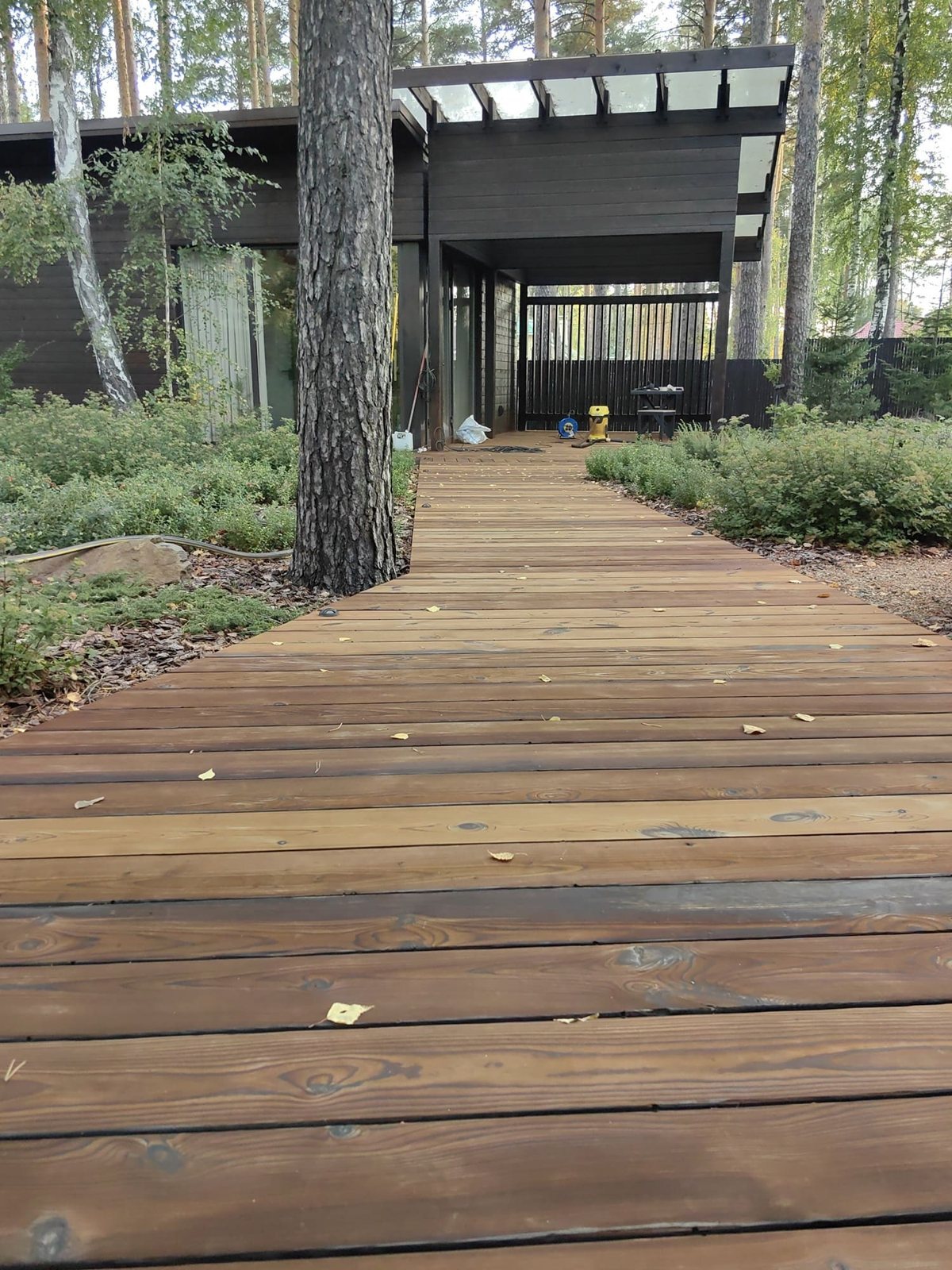 Дорожка из террасной доски QUCON WOOD среди деревьев — термомодифицированная сосна