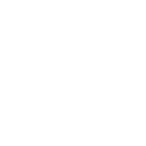 website icon