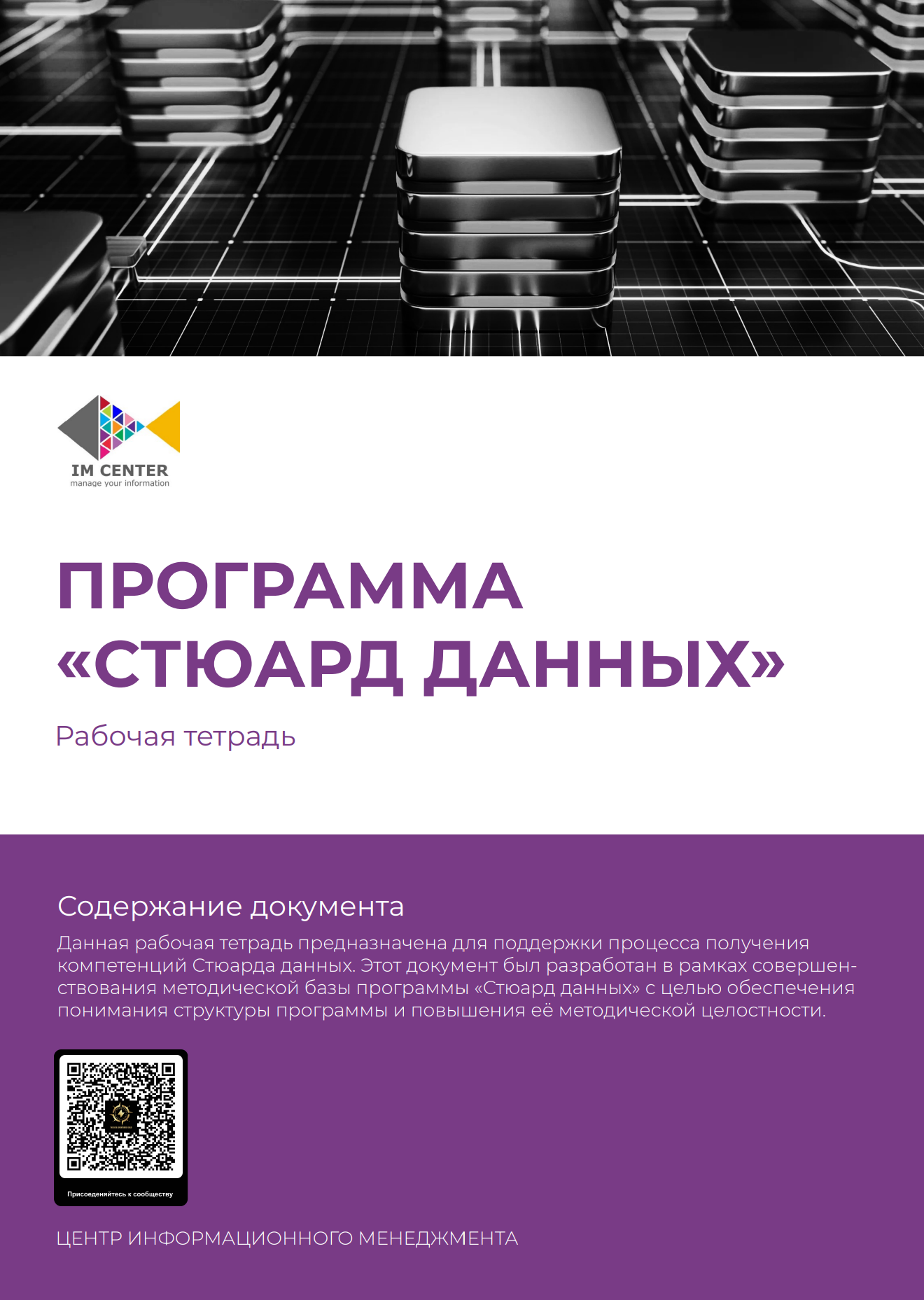 Рабочая тетрадь стюард данных — корпоративная версия