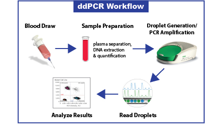 New Test Release: Liquid Bx for EGFR Lung Cancer