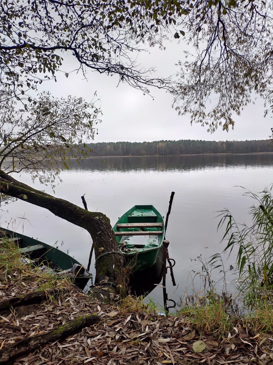 Белобережское озеро
