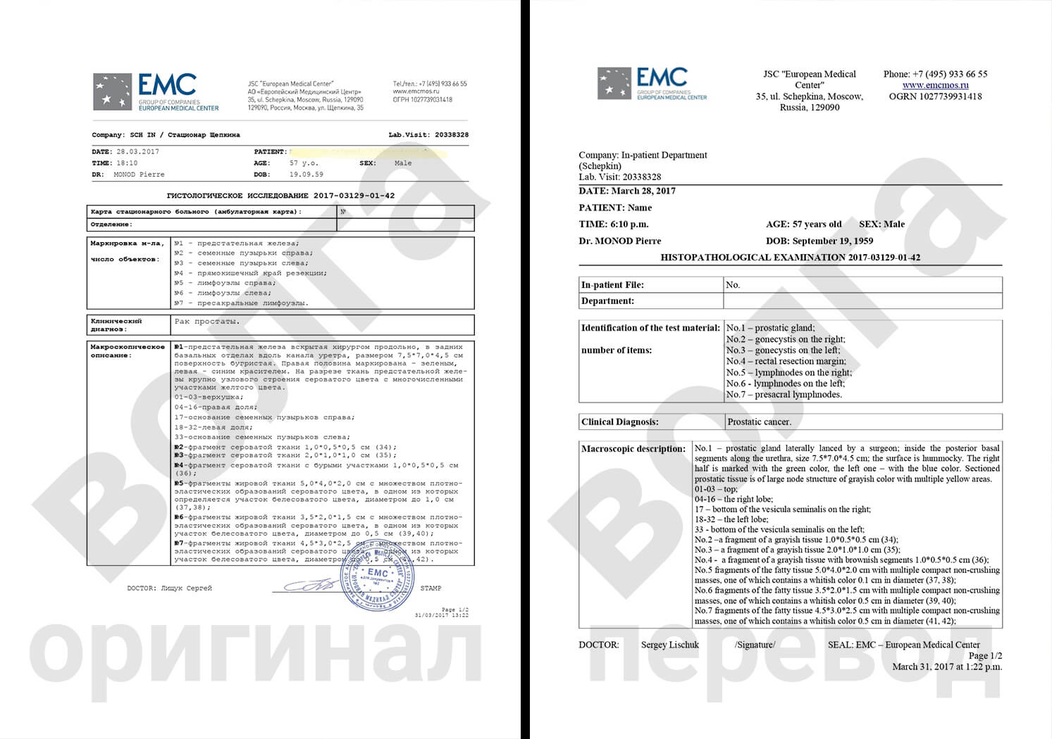 Медицинский перевод в Нижнем Новгороде | Перевод медицинских документов  Бюро переводов Волга