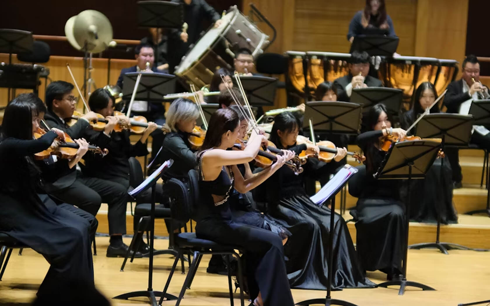 Фото Art Music Orchestra